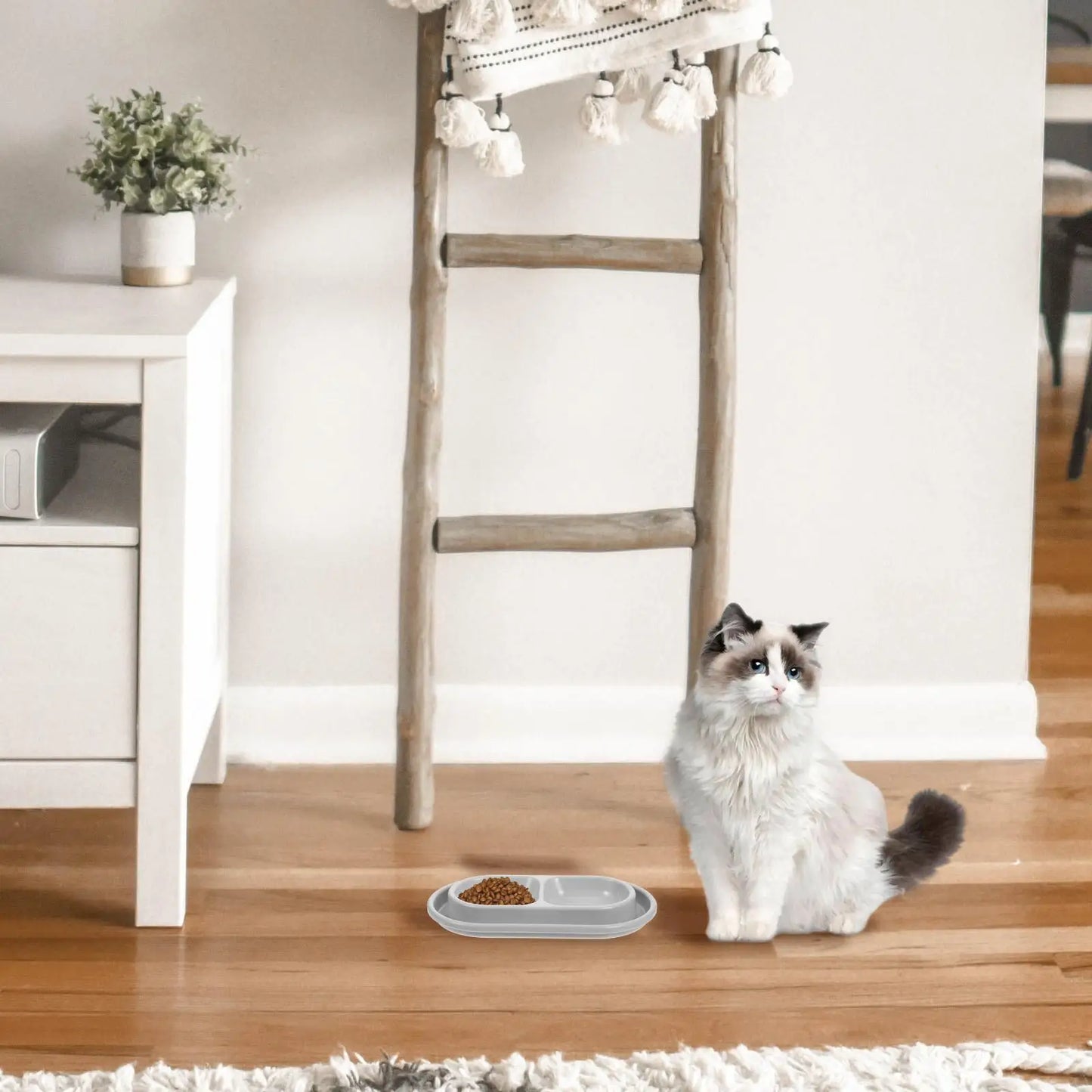 Anti Ant Dog Puppy Food Water Bowls Outdoor Feeder Kitten Proof Dishes Pet Supplies Gray Wide Moat Dual Setup Cat Bowl Anti Ant